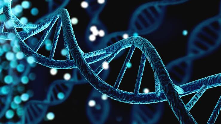 Abu Dhabi Prepares Landmark In Vivo Gene Editing Trials Target Rare Inherited Diseases Before End of 2026